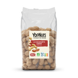 CACAHUETES COQUES  BIO