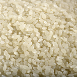 RIZ ROND BLANC BIO