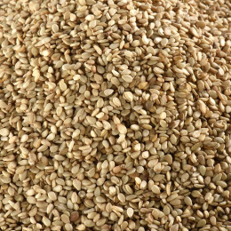 GRAINES DE SESAME COMPLET BIO