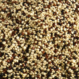 QUINOA TRICOLORE BIO